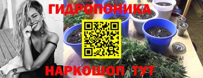 ПСИЛОЦИБИНОВЫЕ ГРИБЫ Моздок