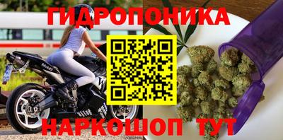 ПСИЛОЦИБИНОВЫЕ ГРИБЫ Моздок