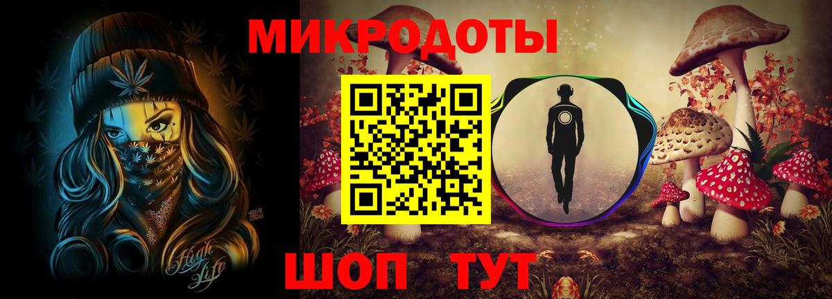 Псилоцибиновые грибы Psilocybe Тула