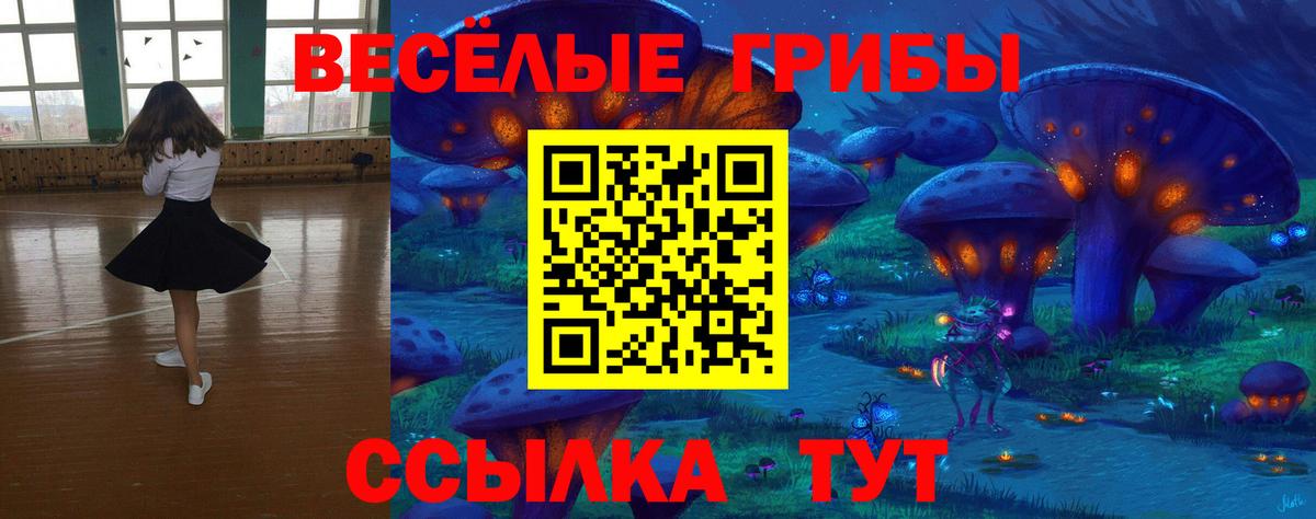 Галлюциногенные грибы прущие грибы  наркошоп  Псилоцибиновые грибы прущие грибы  Тула  Вход с VPN 